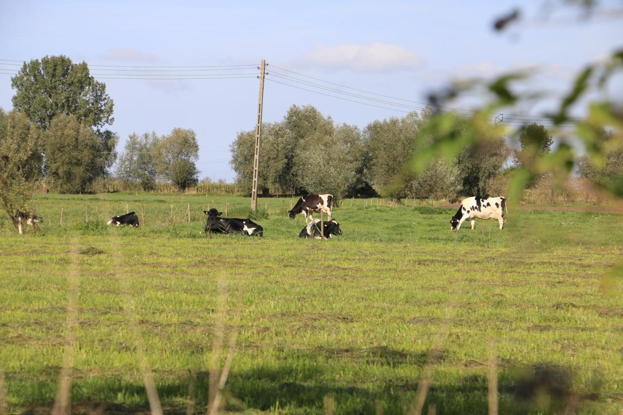 Agroturystyka Zulawiaczek Nowy Dwor Gdanski Exterior foto