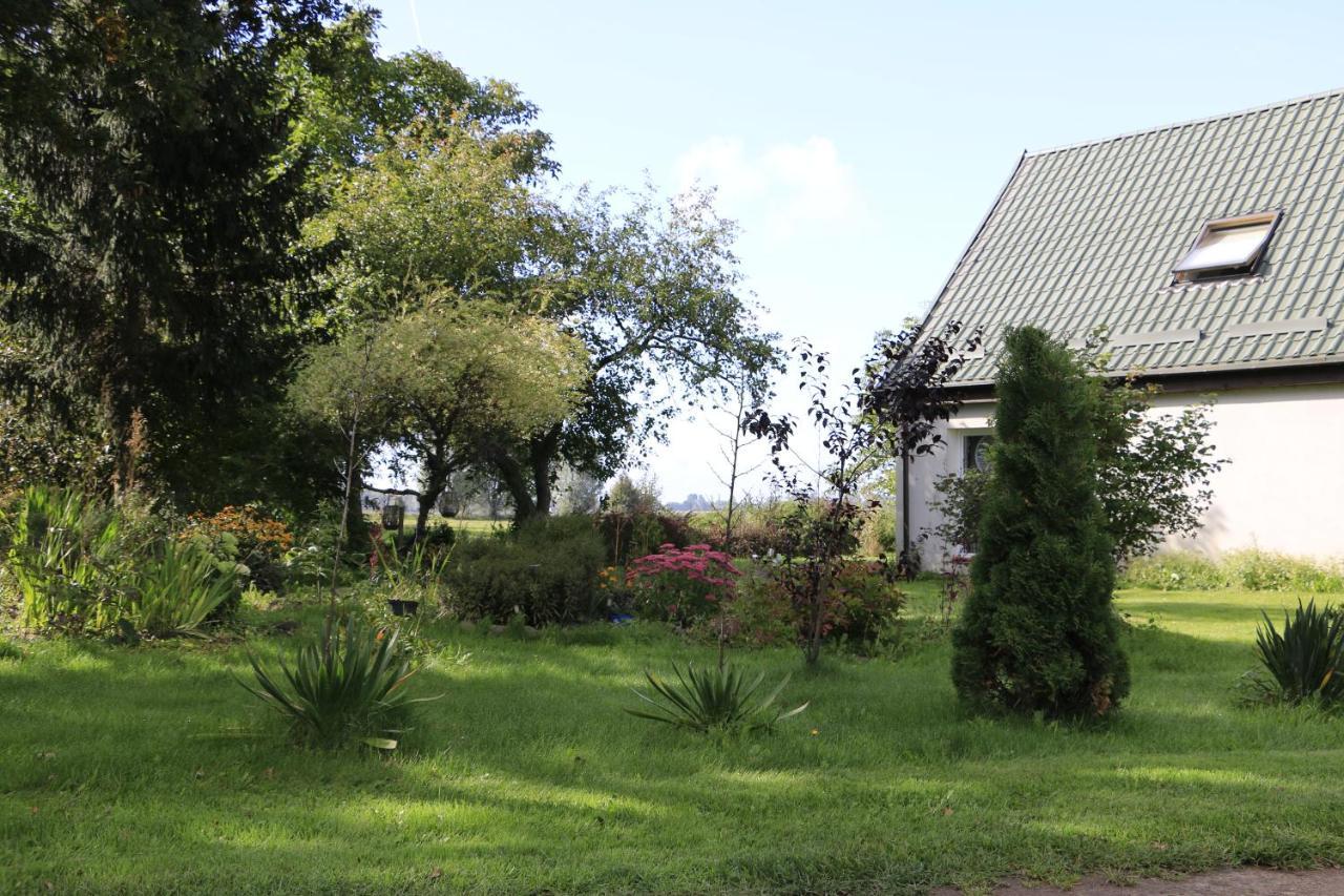 Agroturystyka Zulawiaczek Nowy Dwor Gdanski Exterior foto