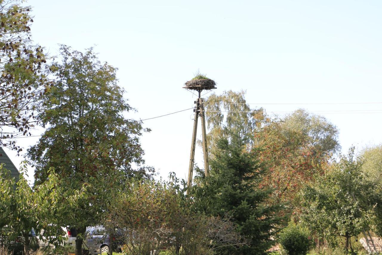 Agroturystyka Zulawiaczek Nowy Dwor Gdanski Exterior foto